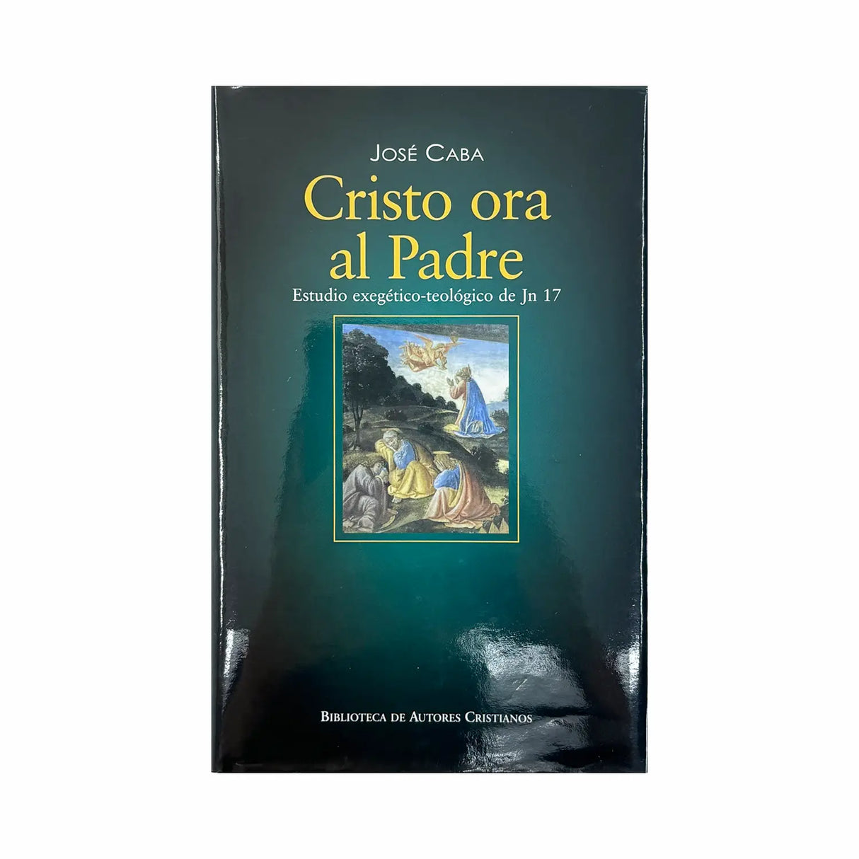 Cristo ora al Padre