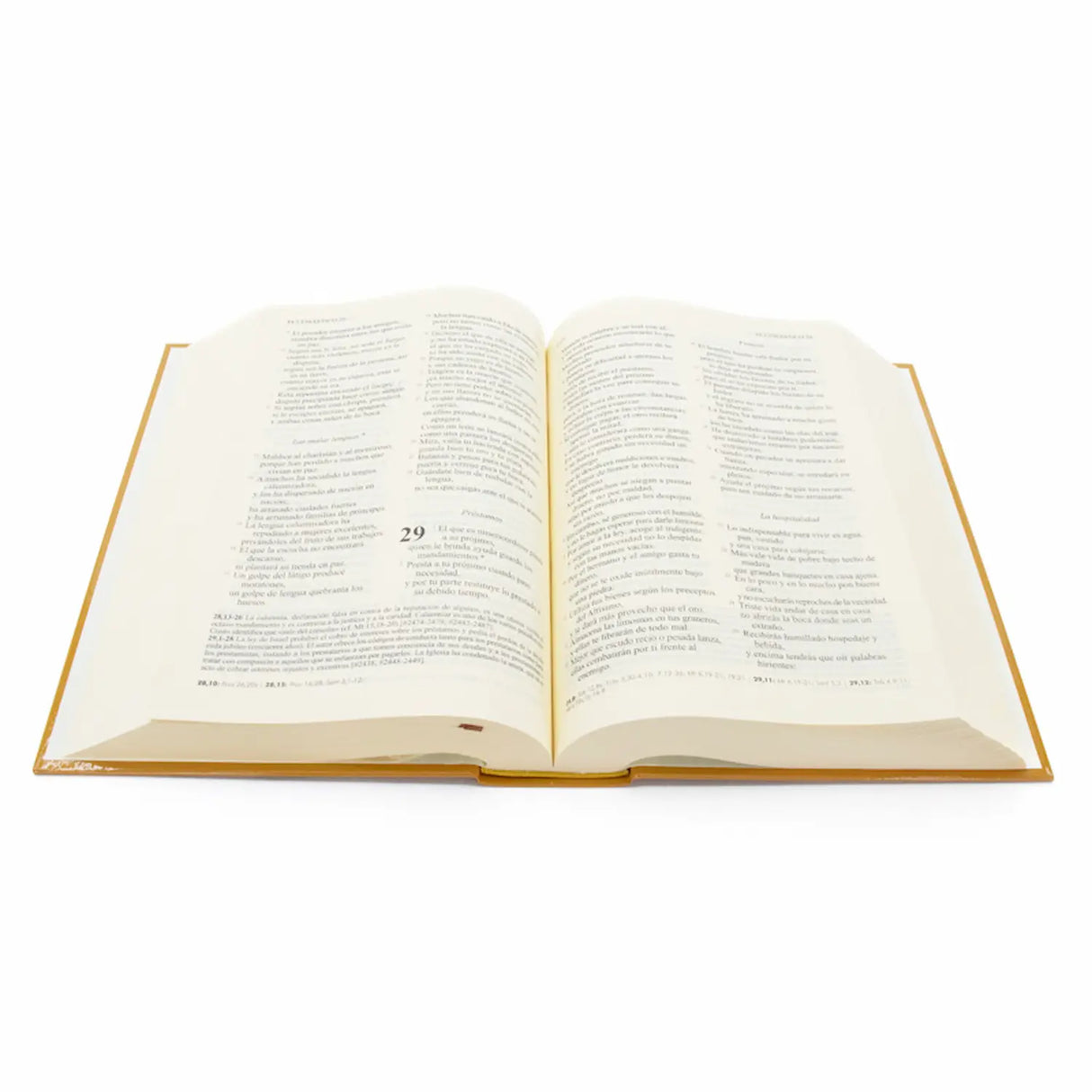 Jerusalem Bible (Large Print)