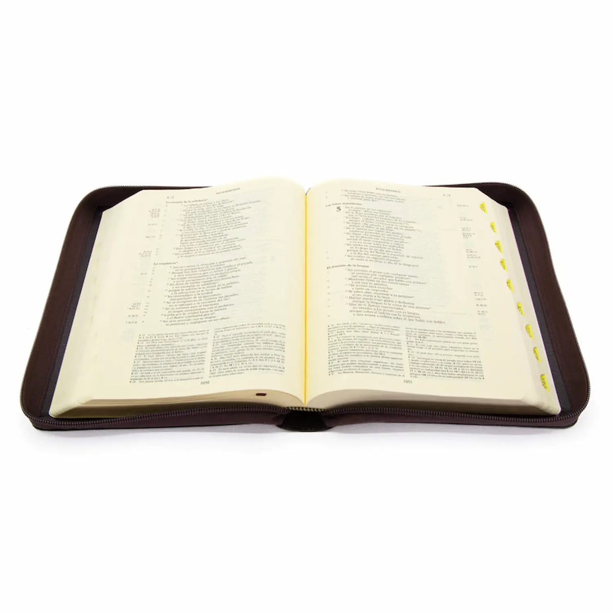 Jerusalem Bible Fifth Edition - Zipper Manual