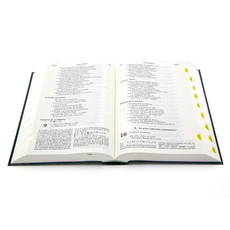 Latin American Jerusalem Bible in Large Print - Hardcover 