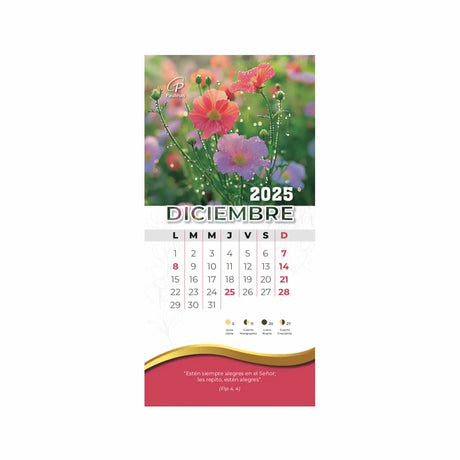 Pearls of Wisdom Calendar 2024